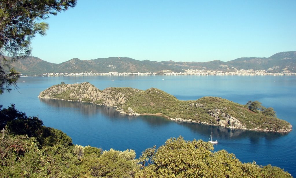 Yıldız Insel