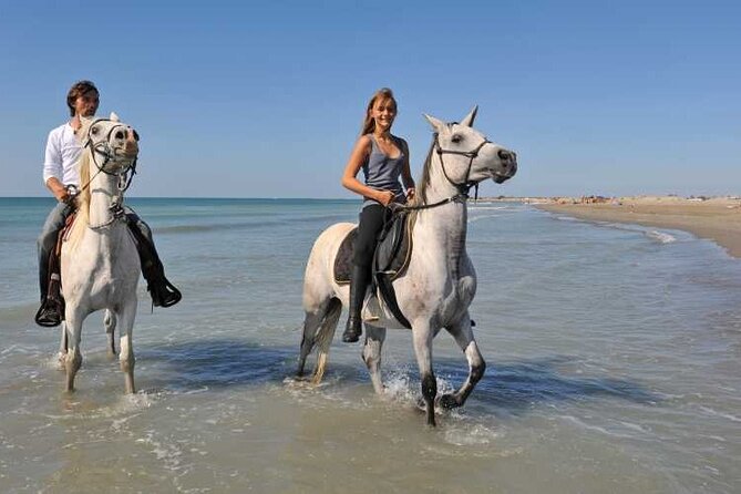 Bodrum Horse Safari – Reiten in der Natur von Bodrum erleben